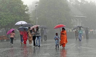 राज्यातील काही भागात आजही बरसणार मुसळधार पावसाच्या सरी.! हवामान विभागाचा अलर्ट...