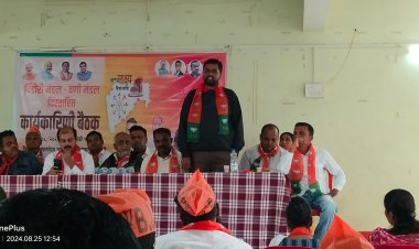 दिंडोरी विधानसभेची जागा भाजपाला सोडा.! दिंडोरी विधानसभा बैठकीत मागणी...