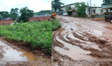 सौन्दड येथील लाल गोदाम'ला जाणारा रस्ता चिखलमय.! सार्वजनिक बाधकाम व महसुल विभागाचे दुर्लक्ष...