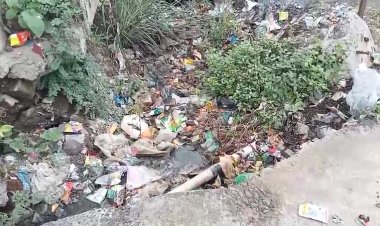 अर्धापूर शहरात घाणीचे साम्राज्य.! तर साफसफाईच्या नावाखाली लाखो रुपयाची बिले साफसफाई गुत्तेदार उचलत असल्याचा आरोप...