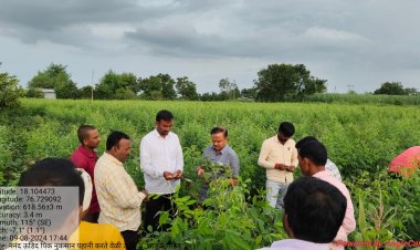 उपजिल्हाधिकारी श्री झाडके यांनी नणंद गावातील पिकाचे पंचनामे करण्याचे दिले आदेश