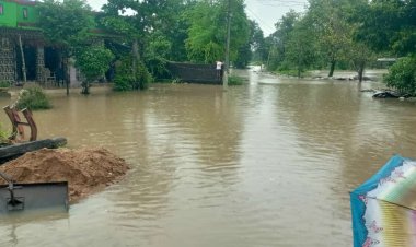 भंडारा जिल्ह्यामध्ये मुसळधार पावसाचा हाहाकार.! शेतकऱ्यांचे अतोनात नुकसान...