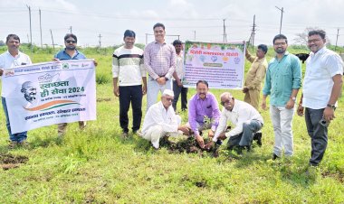 दिंडोरी नगरपंचायतच्यावतीने वृक्षारोपण