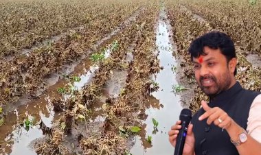 ढगफुटी सदृश्य पावसामुळे लातूर तालुक्यात पिकांचे नुकसान; मंत्री बनसोडे यांच्या प्रशासनाला सूचना