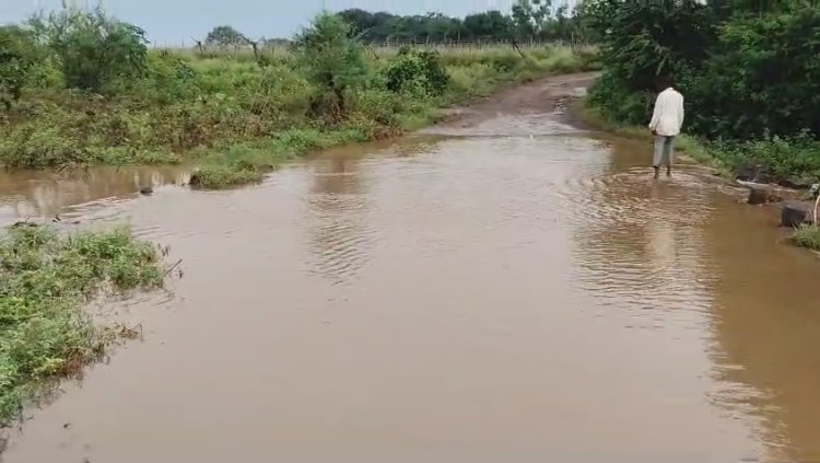 दिंडोरी तालुक्यात पावसाची जोरदार हजेरी; शेतकरी वर्गामध्ये चिंतेचे वातावरण