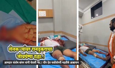 डिग्रसवाणी शेतशिवारात शेतकऱ्यांवर रानडुकराचा जीवघेणा हल्ला.! शेतकरी गंभीर...