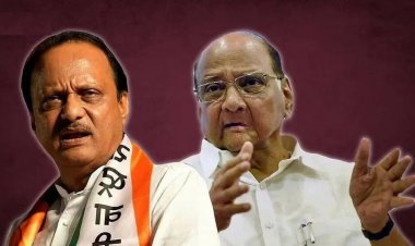 संधीसाधूंना सोबत घेऊ शकत नाही.! शरद पवारांच्या वक्तव्याने दादांसोबतच्या युतीच्या चर्चेला ब्रेक..