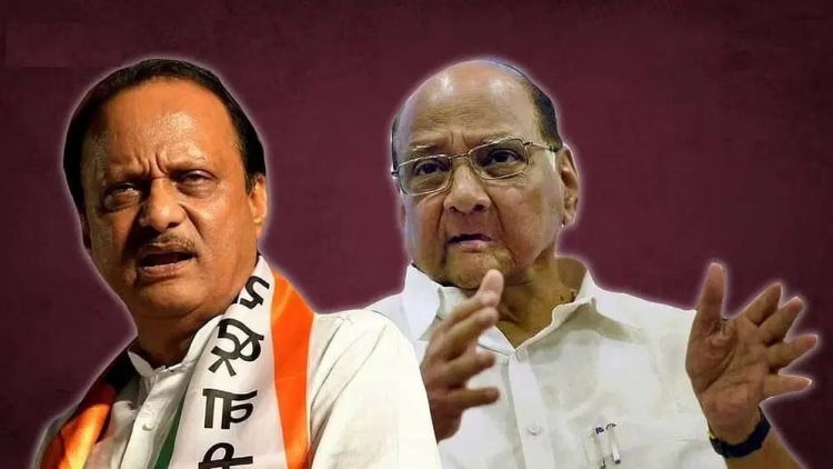 संधीसाधूंना सोबत घेऊ शकत नाही.! शरद पवारांच्या वक्तव्याने दादांसोबतच्या युतीच्या चर्चेला ब्रेक..