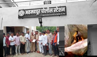 शिवनखेड शिवारात गोवंश कत्तल; 6 आरोपीं विरुद्ध गुन्हा दाखल...