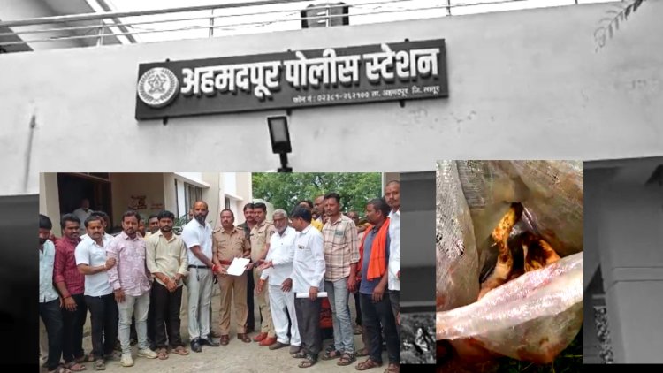 शिवनखेड शिवारात गोवंश कत्तल; 6 आरोपीं विरुद्ध गुन्हा दाखल...