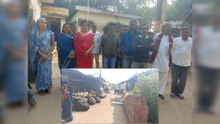 वडेगाव ग्रामपंचायतीचा पुढाकार - रस्त्यावर बांधलेल्या जनावरांविरोधात जनजागृती मोहीम.!