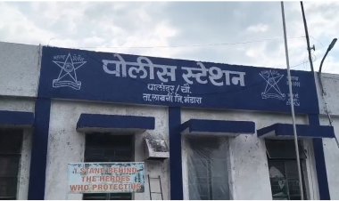 पालांदूर पोलिसांची मोठी कारवाई; पालेपेंढरी चौकात कारसह शस्त्र जप्त, तिघांना अटक...