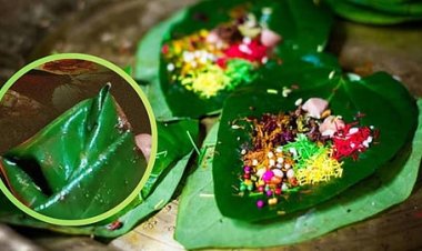 पुण्यात धक्कादायक प्रकार उघड.! "फुलचंद"च्या नावाखाली नशेचा खेळ! पुणेकरांनो सावधान...