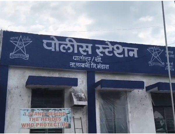 पालांदूर पोलिसांची मोठी कारवाई; पालेपेंढरी चौकात कारसह शस्त्र जप्त, तिघांना अटक...