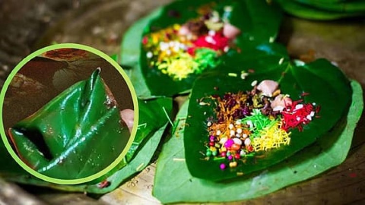 पुण्यात धक्कादायक प्रकार उघड.! "फुलचंद"च्या नावाखाली नशेचा खेळ! पुणेकरांनो सावधान...