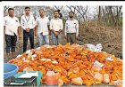 खेड-मावळमध्ये भेसळखोरांवर अन्न व औषध प्रशासनाचा धडक छापा..! 3,282 किलो केमिकलयुक्त मँगो पल्प जप्त...