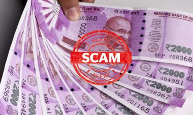 कुंपणच शेत खातंय.! पतसंस्थेत 6.53 कोटींचा महाघोटाळा; 36 जणांवर गुन्हा दाखल...