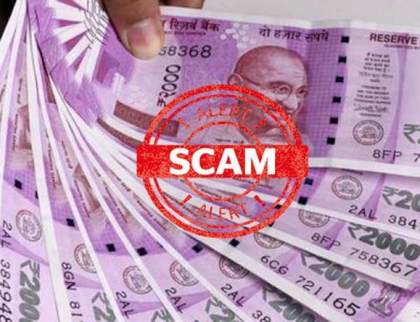 कुंपणच शेत खातंय.! पतसंस्थेत 6.53 कोटींचा महाघोटाळा; 36 जणांवर गुन्हा दाखल...