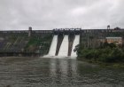 धक्कादायक || डिंभे धरणाच्या कालव्यात तरुणीला ढकलून हत्या; १८ तासांनंतर मृतदेह सापडला...